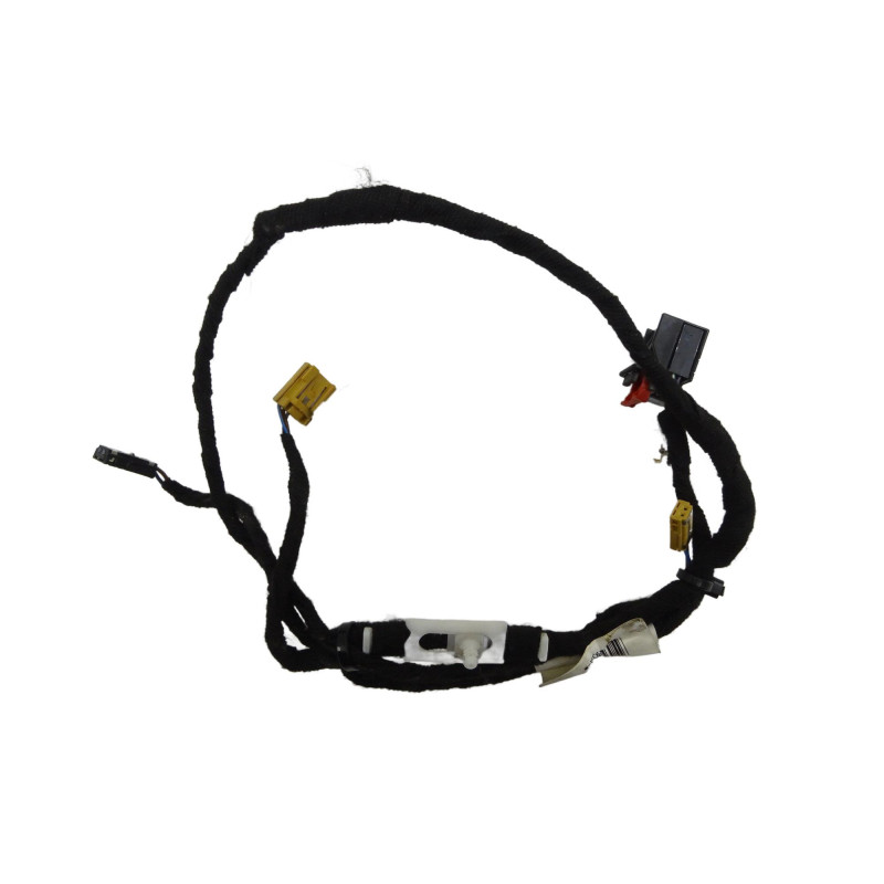 Oryginalna Wiązka Instalacja Drzwi Lewa Tylna Audi A6 C6 Sedan 4F1971693A | PARTLE.COM - przód