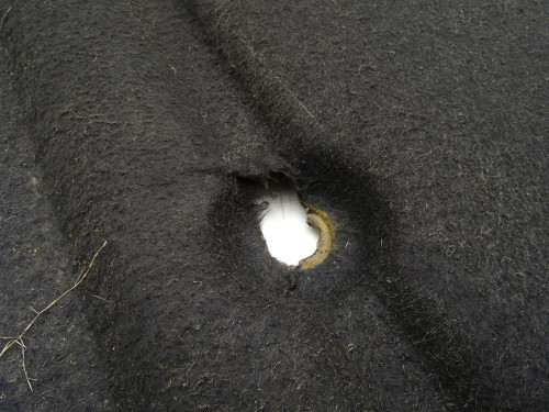 Osłona silnika Audi Q3 8U 11-18r. Oryginalna część PARTLE.COM - wygłuszenie 6